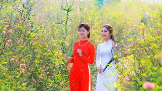 Nhạc xuân chọn lọc - Ngày tết quê em