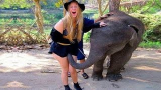Women from hell - Try not to laugh