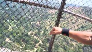 Trail Running Workout - Griffith Park "Bee Rock"