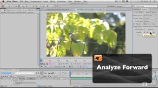 After Effects CS5 201: Motion Tracking and Stabilization - 4. Setting The Search Region