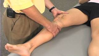 Musculoskeletal Physical Exam: Knee