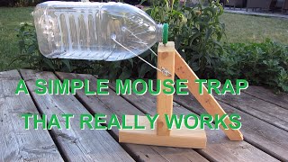 Simple mouse trap that works. (REALLY)