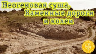 Глобальная сеть неогеновых дорог: неогеновая суша и окаменевшие дороги и колеи