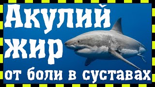 Акулий жир для суставов