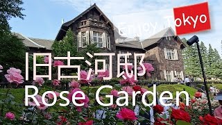 バラ園　2014年東京西ヶ原の旧古河邸宅
