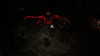 Dark Souls 2 - HORROR MOD 1 [Spider Vanguard]