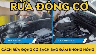 Hướng dẫn rửa động cơ xe Đức, xe Hàn đúng cách - Giữ động cơ như mới và tránh hỏng động cơ