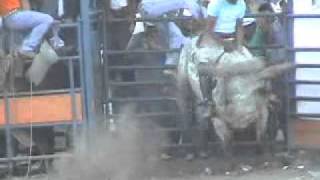 JARIPEO EN LAGUNA DE SANTO DOMINGO SAN NICOLAS TOLENTINO SLP QUINTA PARTE