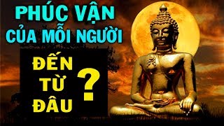 PHÚC VẬN của mỗi người Đến Từ Đâu ?