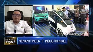 Investasi Pemanfaatan Nikel Kadar Rendah Masih Sedikit, Ini Sebabnya