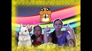 ЧЕЛЛЕНДЖ Пухлый кролик с Валерией Эклерией