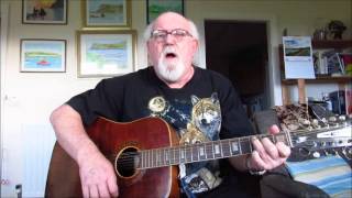 12-string Guitar: A Sea Of Heartbreak (Including lyrics and chords)