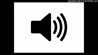Oh Shit Sound Effect(No echo)