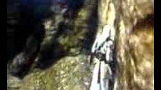 Assassins Creed Glitch Mastaf