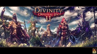 Divinity: Original Sin 2 Рыцарь-преступник снова в деле (кооп с арахисом) 18+