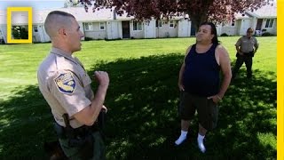 Stoned Raptor Poacher | Wild Justice