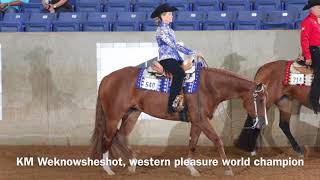 2017 AQHA Select Western Pleasure