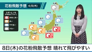 4月8日(木)の花粉飛散予想　晴れて花粉が飛びやすい
