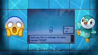 Live!!! Shiny Piplup in Heart Gold after only 573 eggs Masuda Method.  (Sinnoh Starters Complete)