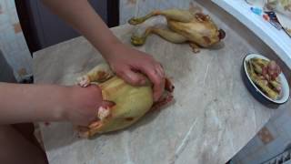 Ощип и потрошение кур (петуха) // Жизнь в деревне