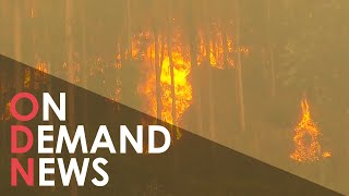 Hundreds of Wildfires RAVAGE Chile Destroying Homes