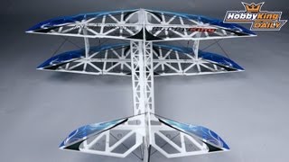 HobbyKing Daily - HK Dual Storm F3P