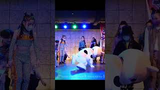 猫ブレイクダンス BREAKING CAT #Shorts #DANCE #breakdance