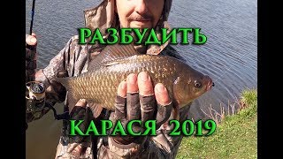 МОРМЫШИНГ.  РАЗБУДИТЬ КАРАСЯ 2019