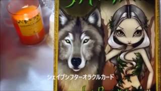 『どうしたらいいんだろう』というあなたへのメッセージ～オラクルカードリーディングOracle Card Reading