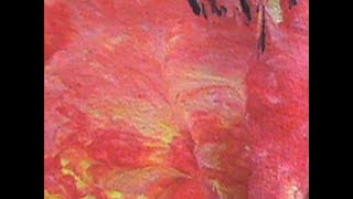 Vagina Tridimensional