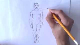 Уроки рисования. Пропорции фигуры человека .Как рисовать ЧЕЛОВЕКА | Art School