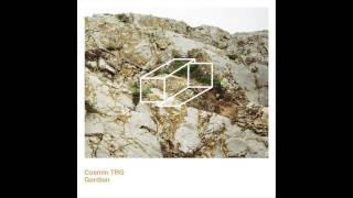 Cosmin TRG - New Structures For Loving