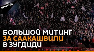 FREEMISHA: Сторонники Саакашвили в Зугдиди провели крупную акцию