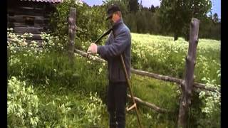 Лето на севере