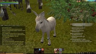 ArcheAge 1.2 Ру оф Калеиль Мародёр