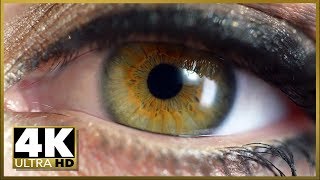 BEST 4K ULTRA HD CINEMATIC DEMO-UHD OLED TV Sampler Test, Stock Video Footage