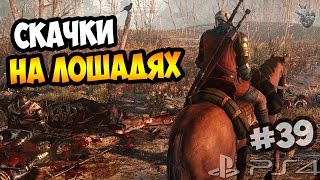 СКАЧКИ НА ЛОШАДЯХ ► Прохождение "Ведьмак 3: Дикая Охота" #39