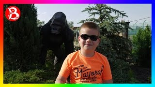 VLOG: Зоопарк ЛИМПОПО кормим обезьянок и других животных (Часть 2) ZOO LIMPOPO (Part 2)
