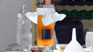Чайный гриб (Комбуча). Как приготовить настой чайного гриба? С чего начать?