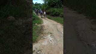 West Papua Birdwatching Tour