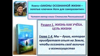 Книга "ЗАКОНЫ ОСОЗНАННОЙ ЖИЗНИ". 1.4. Мы – душа, которая приобретает опыт на Земле для познания себя