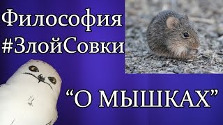 Философия #ЗлойСовки: О МЫШКАХ. Охота совы на мышей