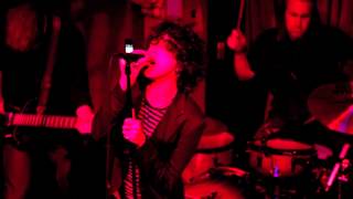 LP Live - Black Dog at Bardot