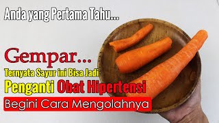 JUTAAN ORANG GEGER... CUMA PAKAI INI DARAH TINGGI NORMAL KEMBALI DALAM HITUNGAN MENIT