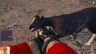 ШОК! Медики с Шокерами убивают животных! (ArmA3, Nemesis, Altis Life))