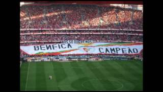 rotunda de murça reservada para o BENFICA