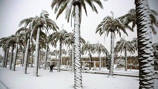Incredible! Snow fell in the Sahara Desert in Saudi Arabia and caused floods!