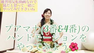#499フラ☆ハンドモーション?プアマナ3番&4番の振付(ハンドモーション)を復習！練習用反転動画?フラダンス初心者向け?miostyle?