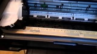 Принтер Epson L110 ЖУЕТ БУМАГУ