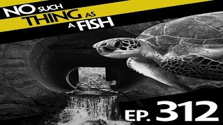 [No Such Thing As A Fish] Episode 312: No Such Thing As Quentin Tarantino's Bambi